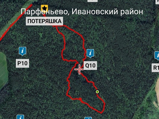 Ивановские поисковики и пес Талисман вывели из леса двух потеряшек